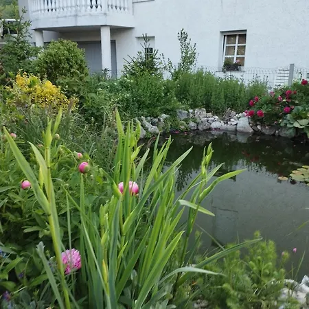 Haus Zum Badeteich Apartment