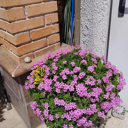 Haus Zum Badeteich *